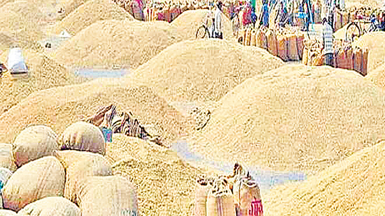 39,613 క్వింటాళ్ల ధాన్యం కొనుగోలు