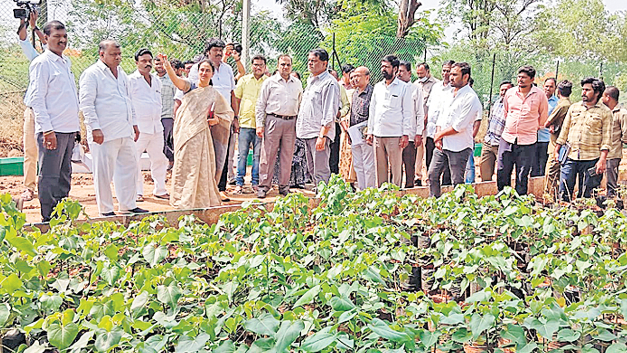 రహదారుల విస్తరణకు చర్యలు