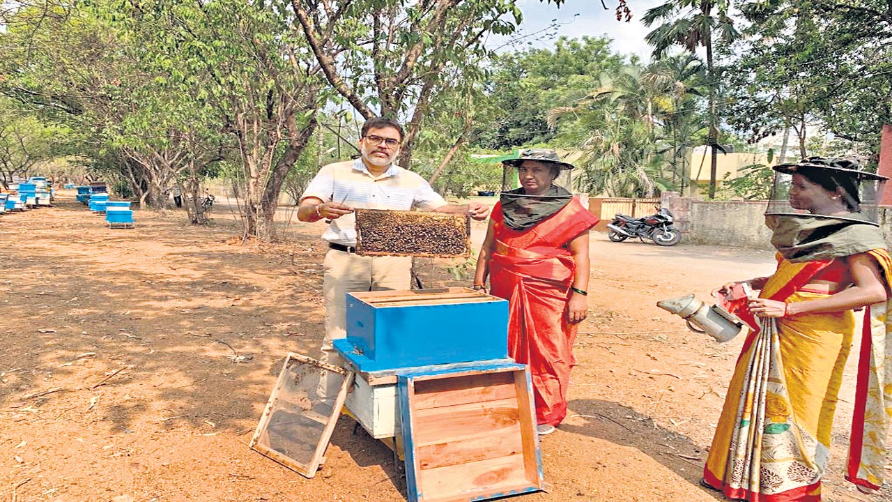 తేనెటీగల పెంపకం లాభదాయకం