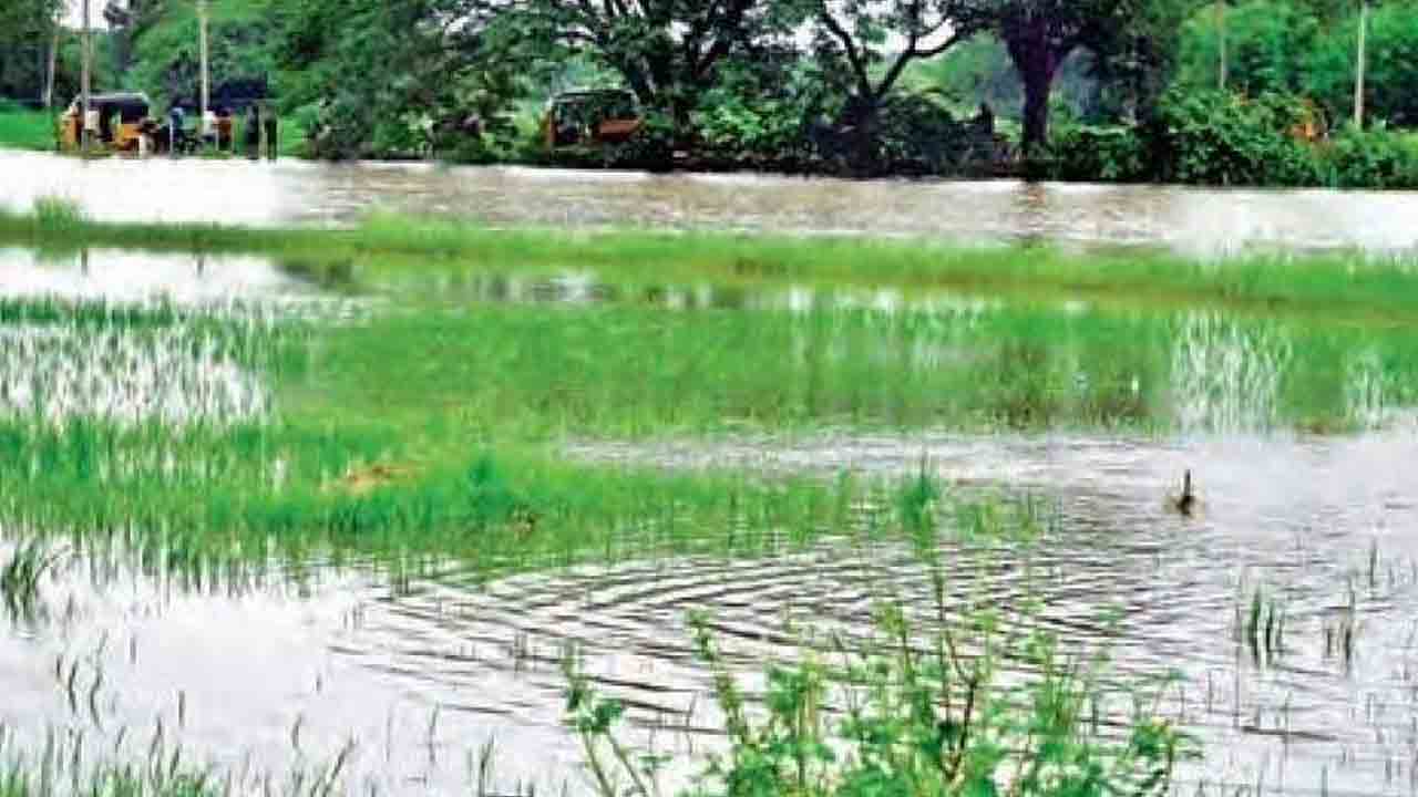 ఉమ్మడి కరీంనగర్‌ జిల్లాలో వాన బీభత్సం