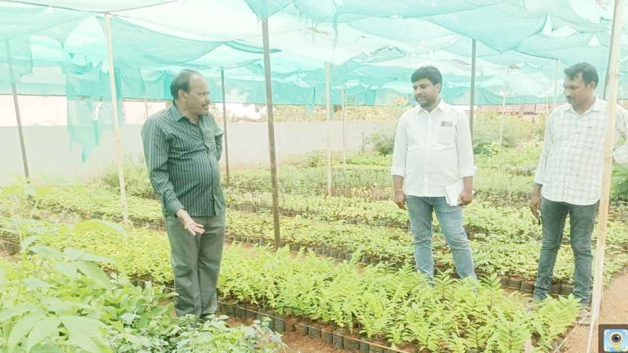 హరితహారానికి అంతా సిద్ధం