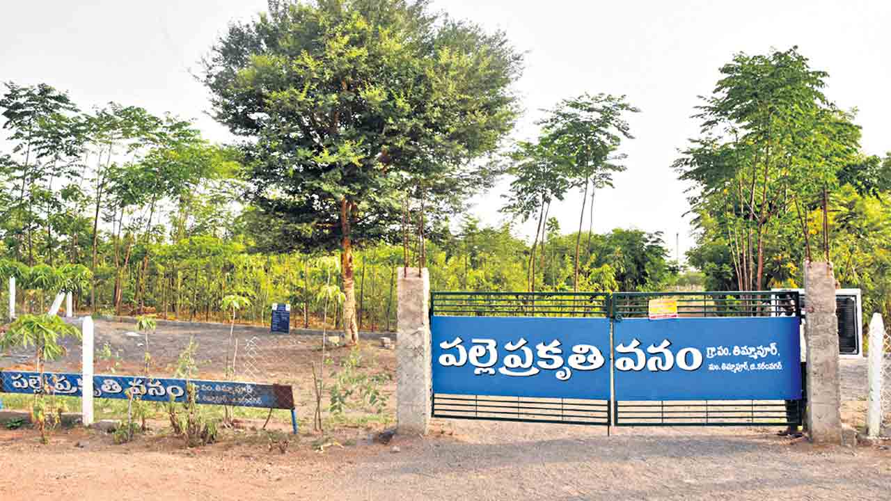 గ్రామాల్లో చిట్టడవులుగా బీపీవీలు