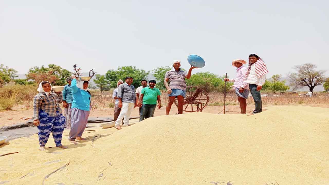 ధాన్యం కొనుగోళ్లు వేగవంతం
