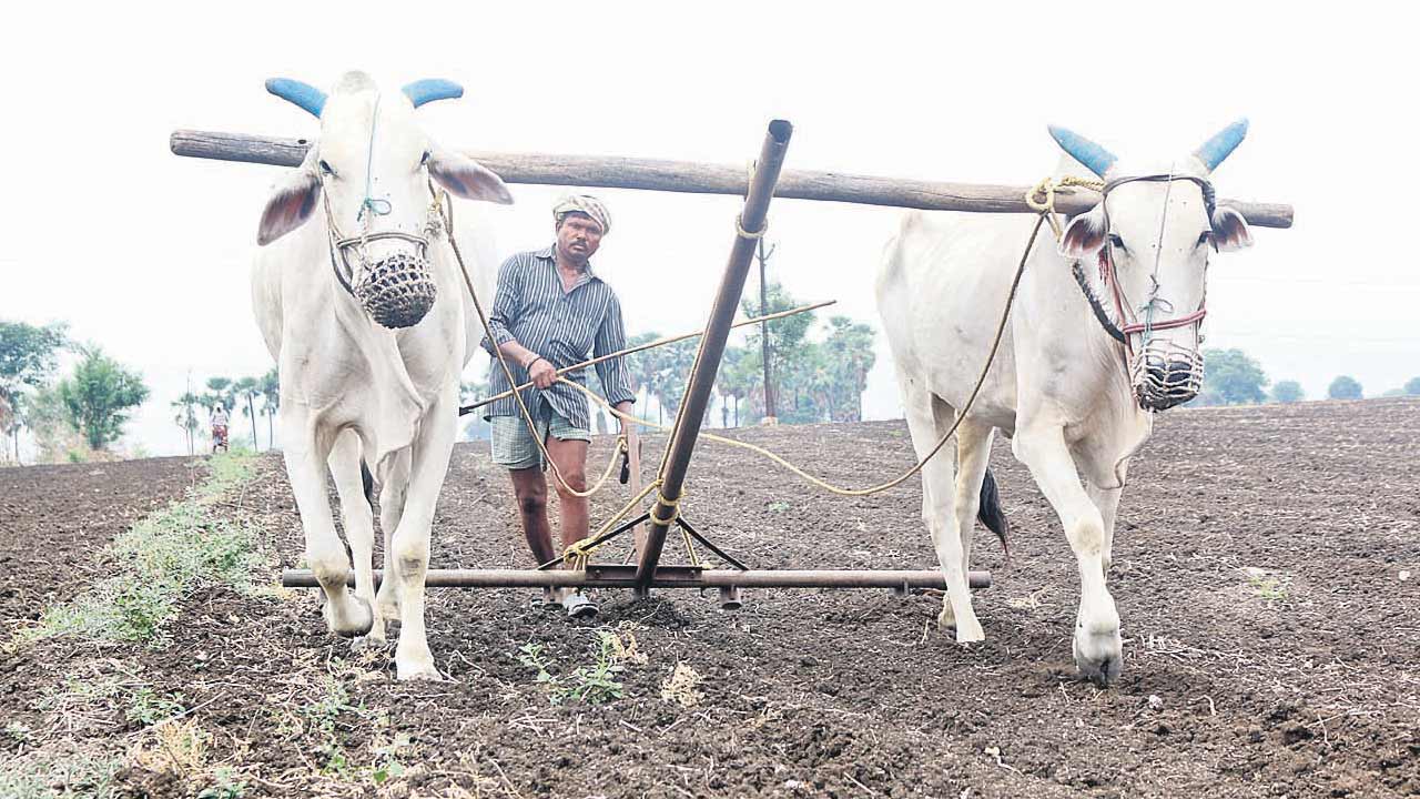 సేద్యానికి సన్నద్ధం దిశగా..
