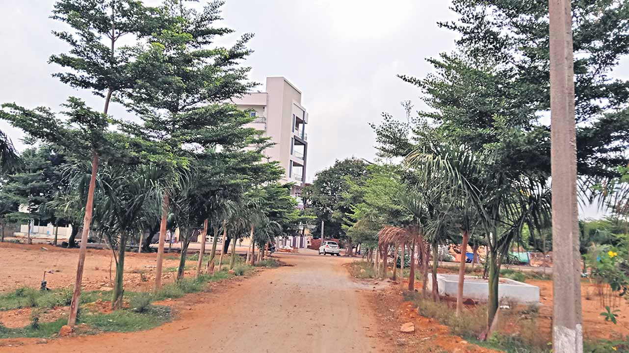 ఆహ్లాదానికి చిరునామా..ఎయిర్‌పోర్టు కాలనీ పార్కు