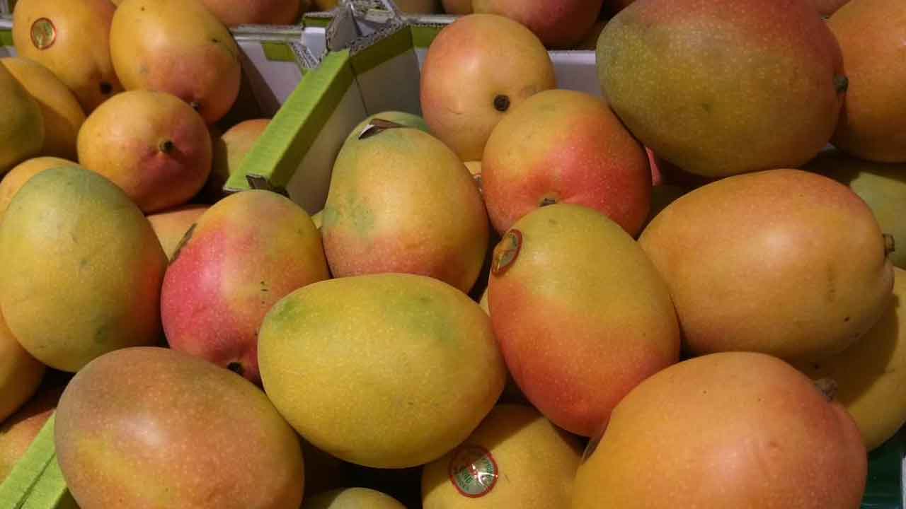 HeatWave Effect on Mango Exports | బియ్యం.. గోధుమ‌లే కాదు.. మామిడి ఎగుమ‌తుల‌కూ వేస‌వి వేడి దెబ్బ‌
