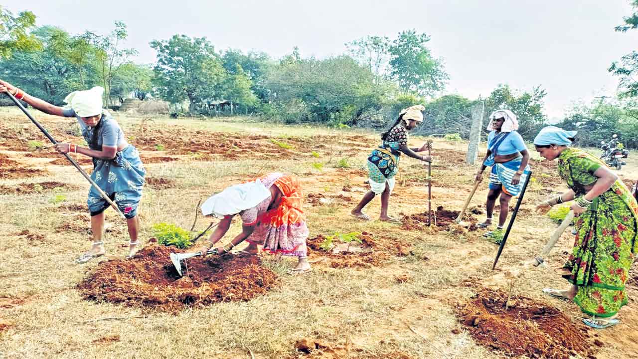 జనాల మధ్యలో వనాలు