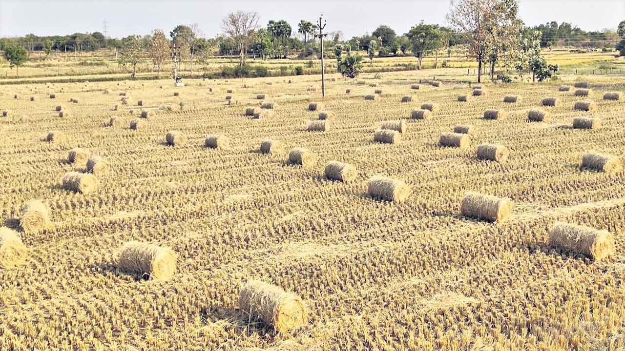 బేలర్‌.. బేఫికర్‌