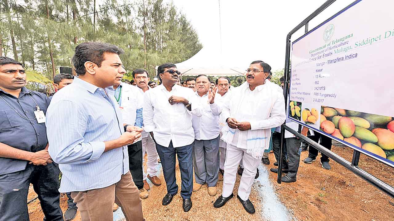 ఎక్సలెన్సీ.. ఎక్సలెంట్‌..