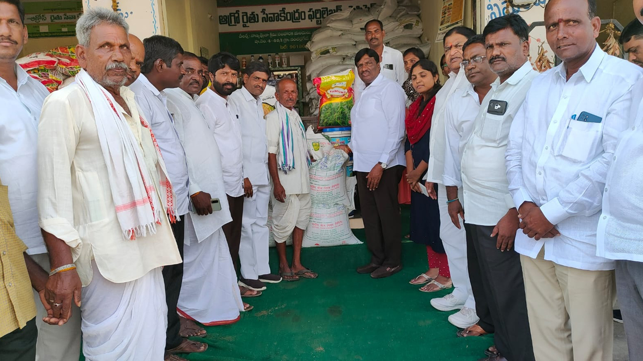 పచ్చిరొట్టతో భూసారం