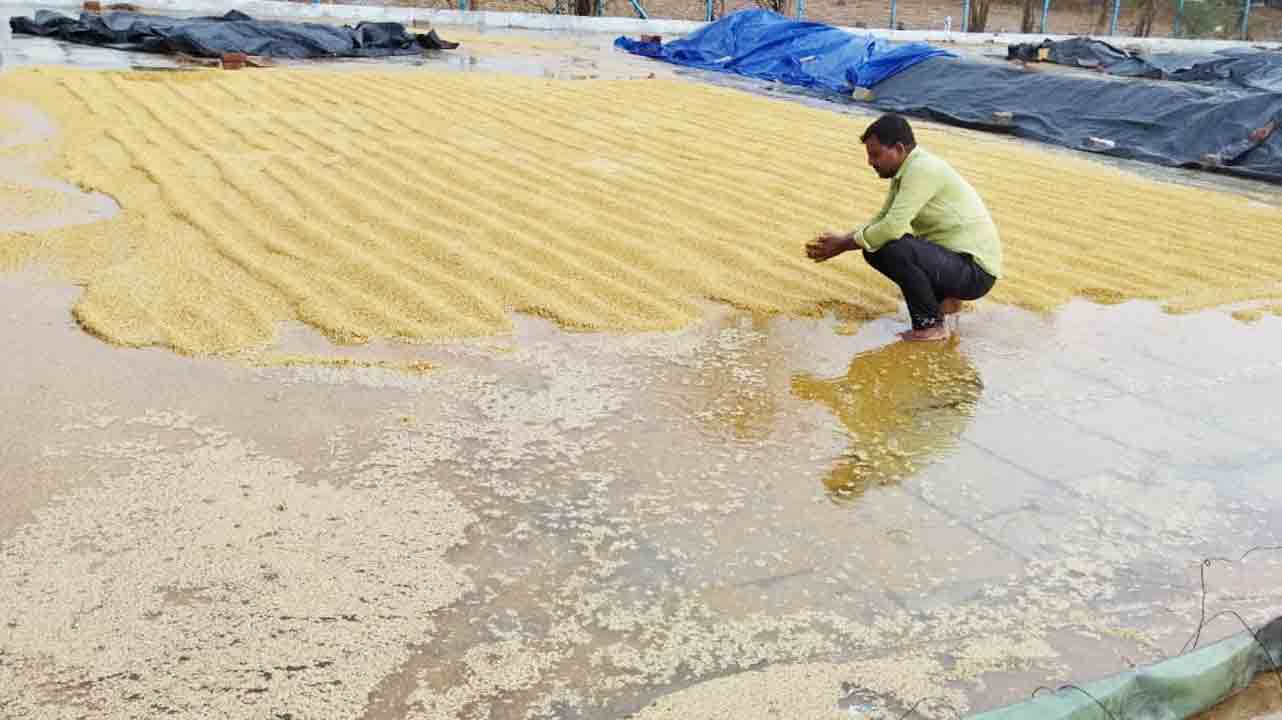 అన్నదాత కష్టం నీటిపాలు