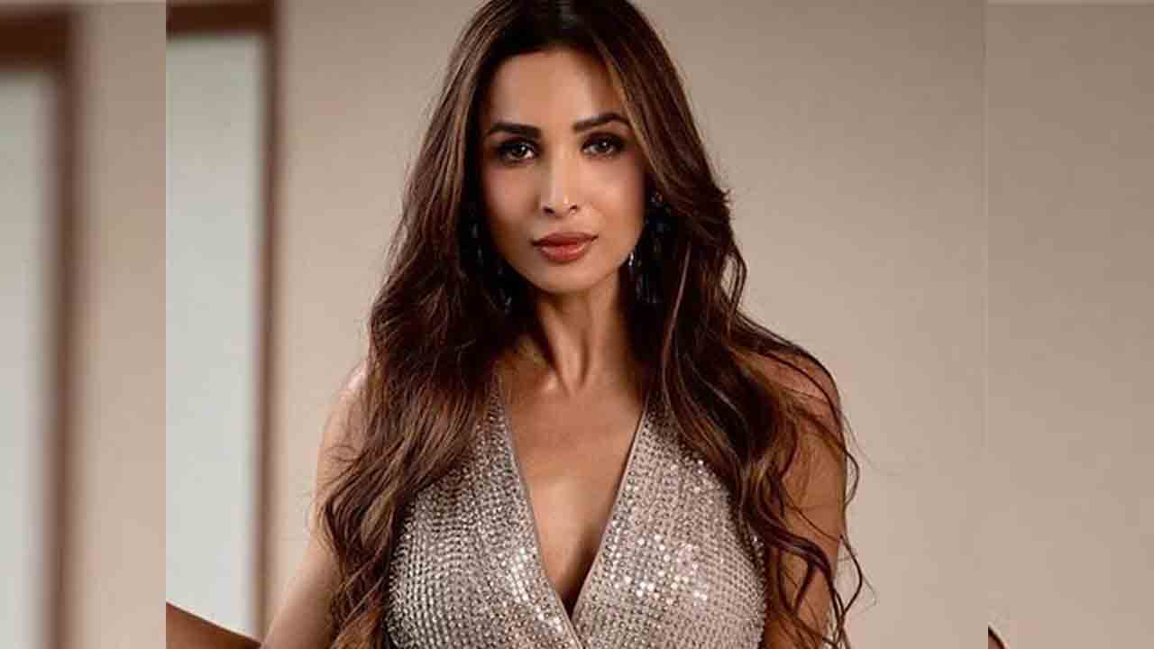 Malaika Arora | కారు ప్ర‌మాదం త‌ర్వాత భ‌యాన‌క క్ష‌ణాలు..మలైకా ఏం చెప్పిందంటే..?
