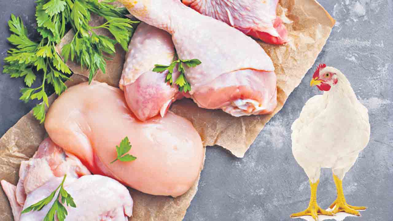 కొండెక్కిన కోడి