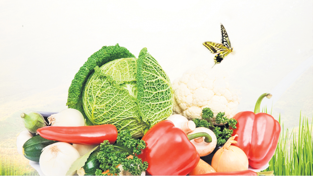 సిరులు కురిపిస్తున్న కూరగాయలు