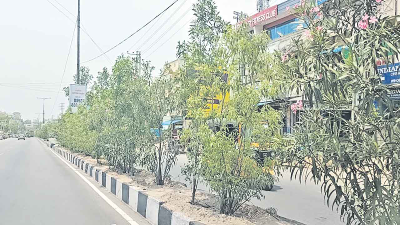 మండుటెండల్లోనూ.. పల్లెల్లో పచ్చందాలు