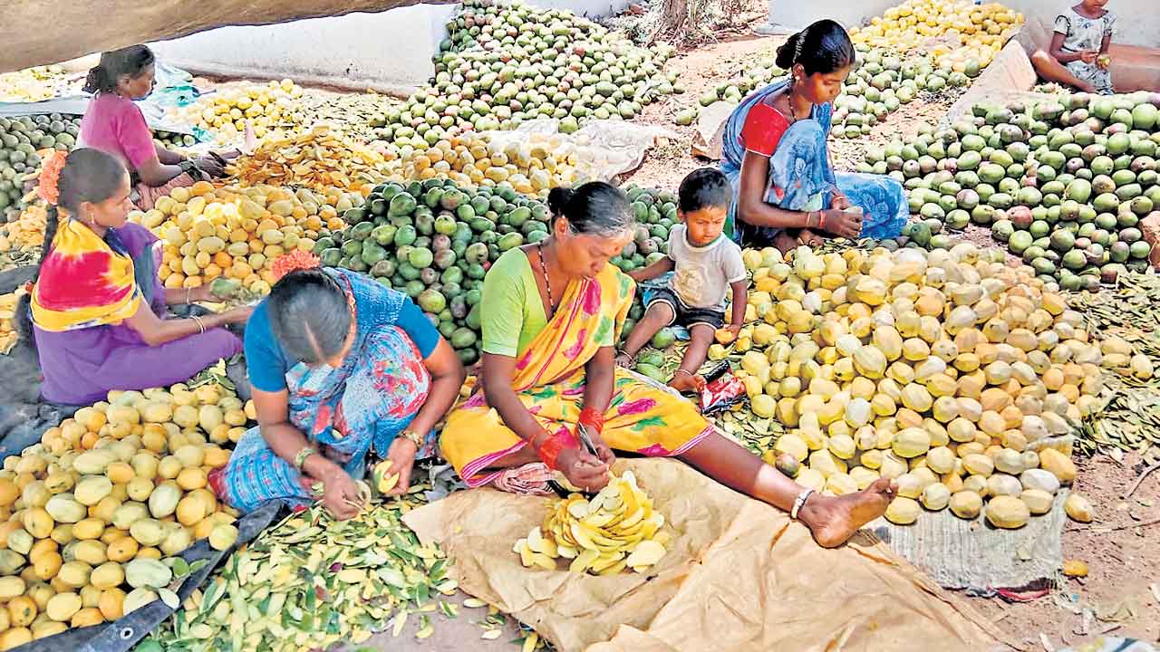 మామిడి ఒరుగు లాభాలు మెరుగు