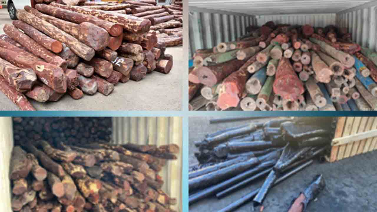 రూ.11.70కోట్ల విలువైన ఎర్రచందనాన్ని పట్టుకున్న డీఆర్‌ఐ