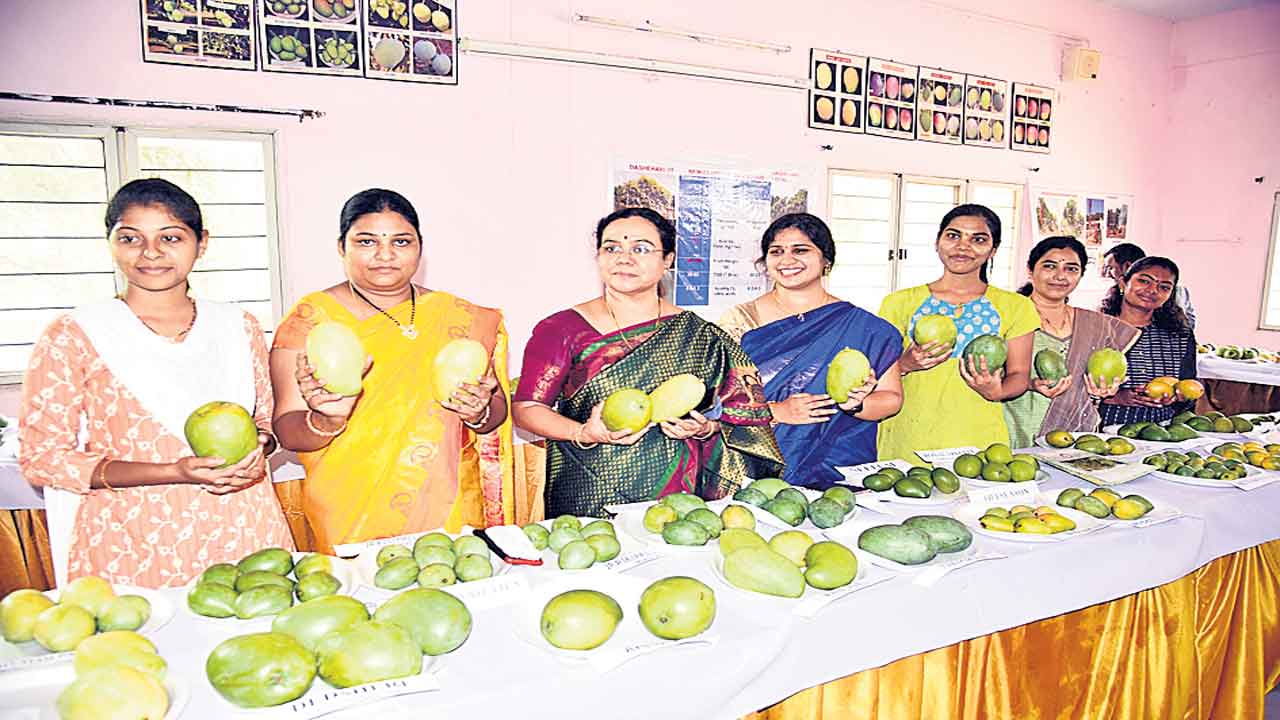 నోరూరించిన మామిడి