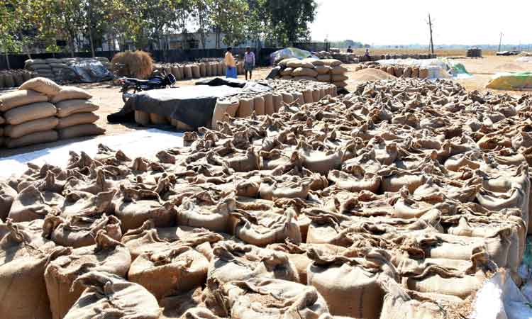 ధాన్యం కొనుగోళ్లలో కొత్త రూల్‌