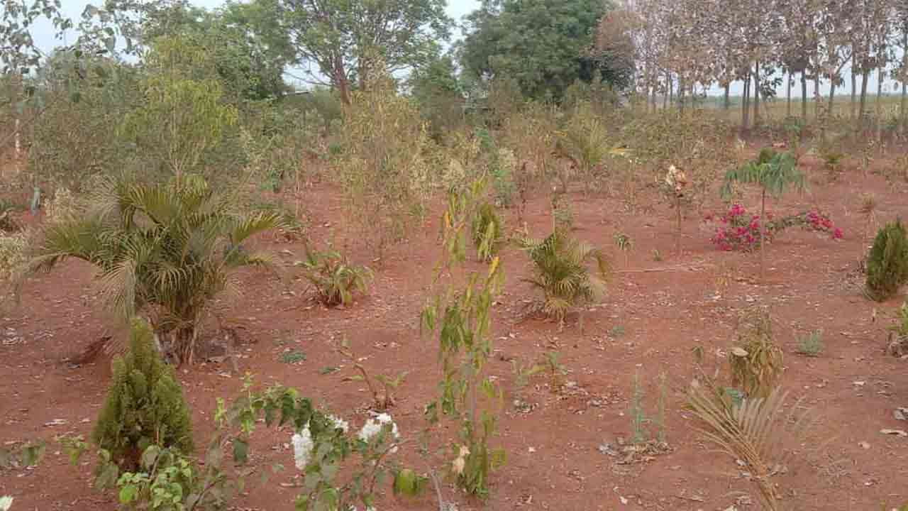 ఈ వనం అధ్వానం