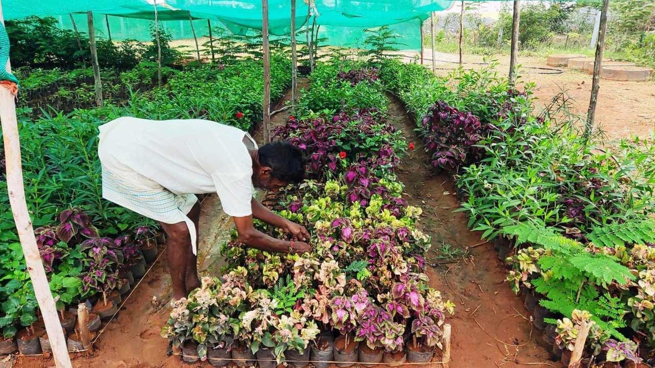 హరితహారానికి ప్రణాళికలు