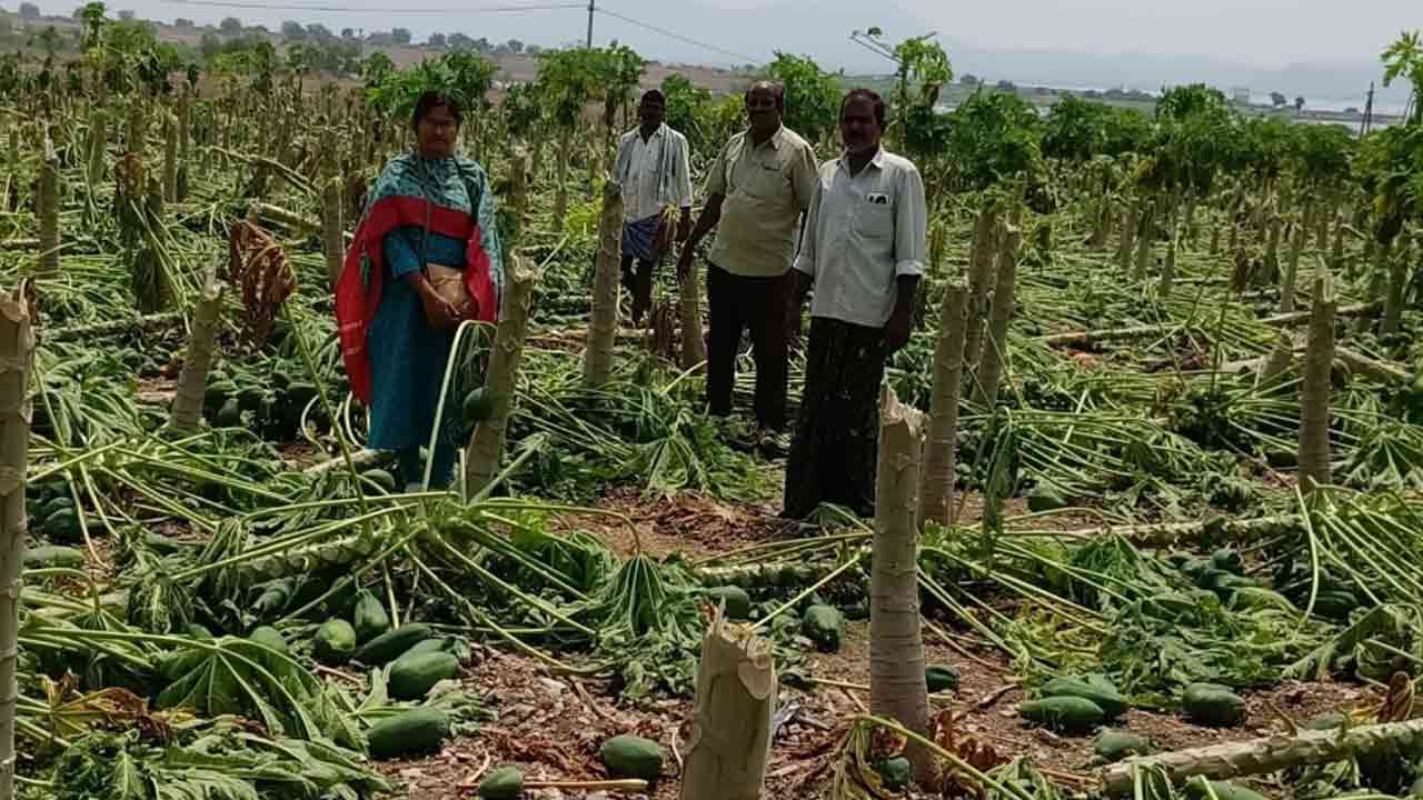 దంచుతున్న ఎండలు