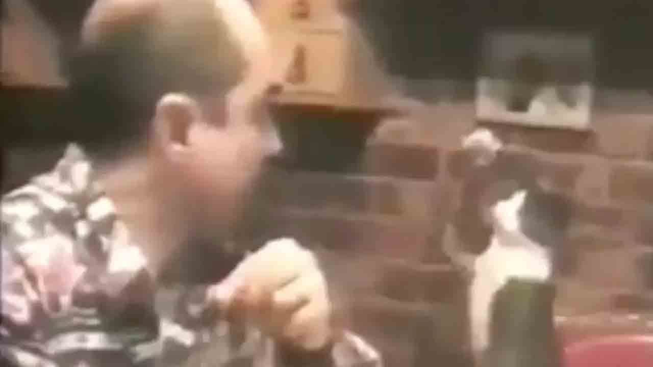 Viral video: చెవిటి వ్య‌క్తిని భోజ‌నం పెట్ట‌మ‌ని సైగ‌లు చేస్తున్న పిల్లి!!