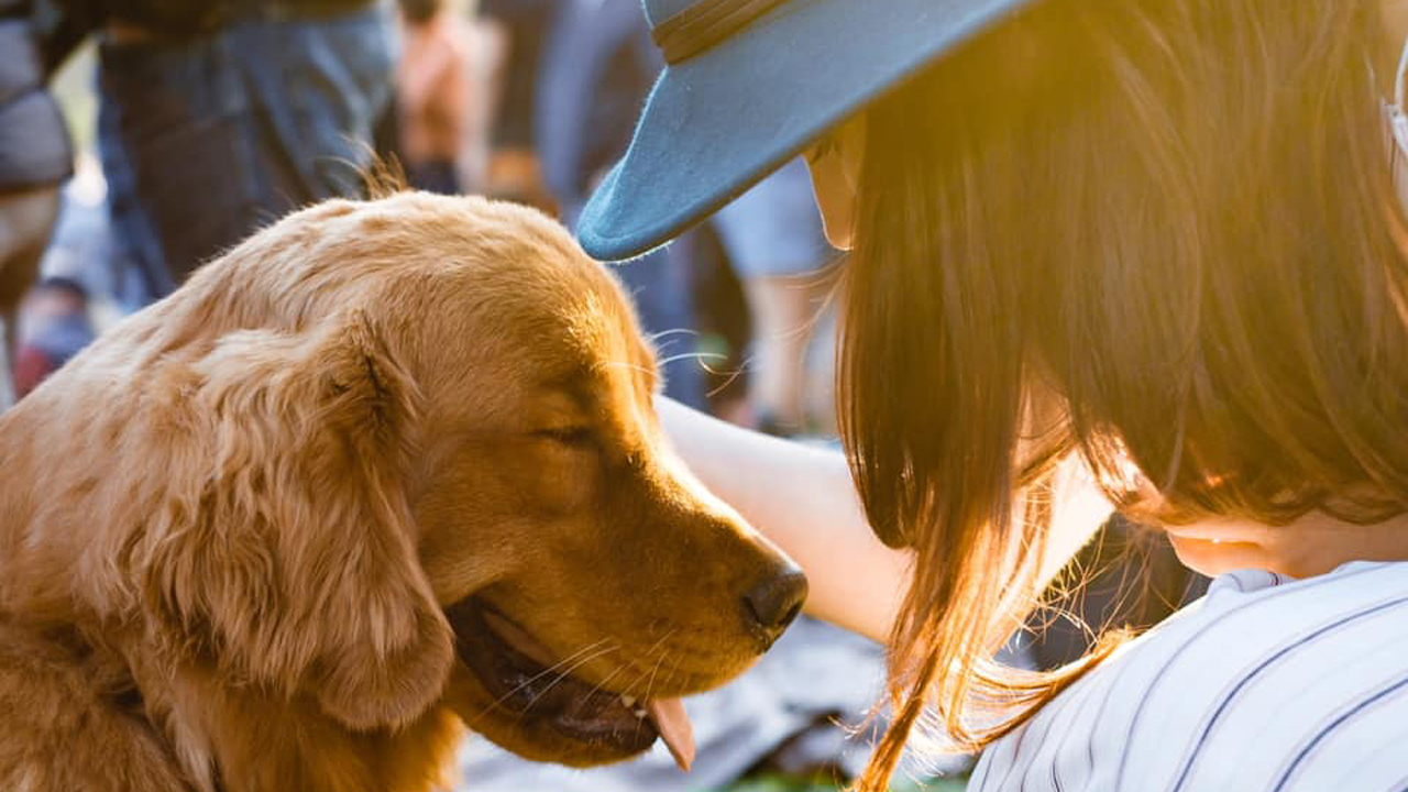 Telepathy | మీ పెట్ డాగ్స్ మ‌న‌సులో ఏముందో ఇలా తెలుసుకోవ‌చ్చంట‌!!