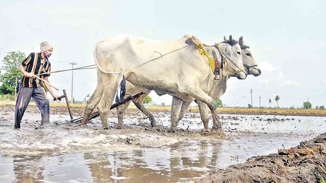 రైతుబంధుకు సన్నద్ధం