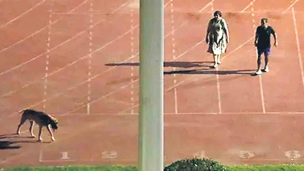 కుక్కతో వాకింగ్‌కు వస్తున్నా.. స్టేడియం ఖాళీచేయండి
