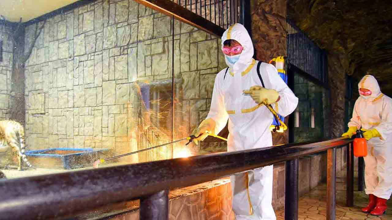 ఉత్తర కొరియాలో కరోనా కలకలం.. ఒకేరోజు లక్షా 86 వేల కేసులు