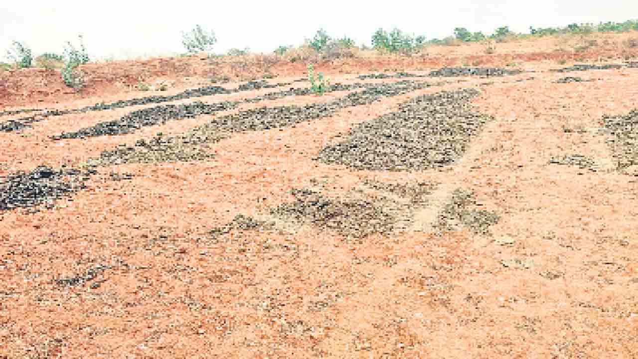ఒండ్రు మట్టి భూమికి బలం