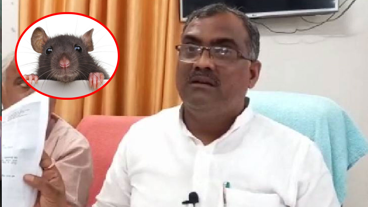 మంత్రిని కొరికిన ఎలుక‌.. పాము అనుకొని హైరానా.. క్షీణించిన ఆరోగ్యం