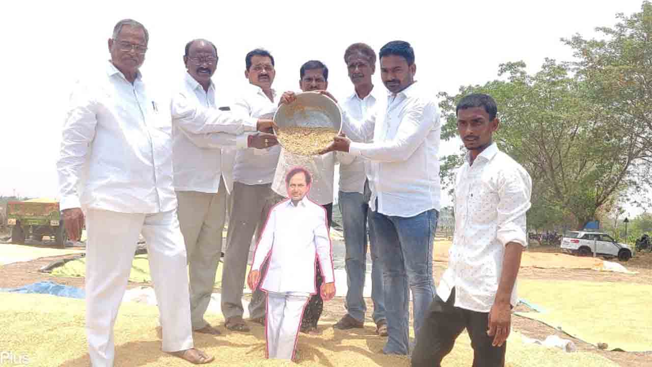 CM KCR | గౌరెడ్డిపేటలో సీఎం కేసీఆర్‌కు ధాన్యాభిషేకం