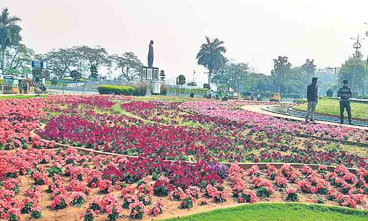 ఆకుపచ్చని శోభితం