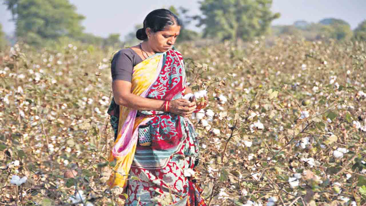 కొత్త రకం .. లాభాలు అధికం
