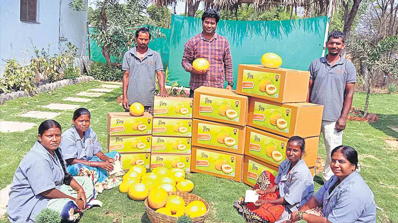 రోబోటిక్స్‌ చదివి.. వ్యవసాయం చేసి..