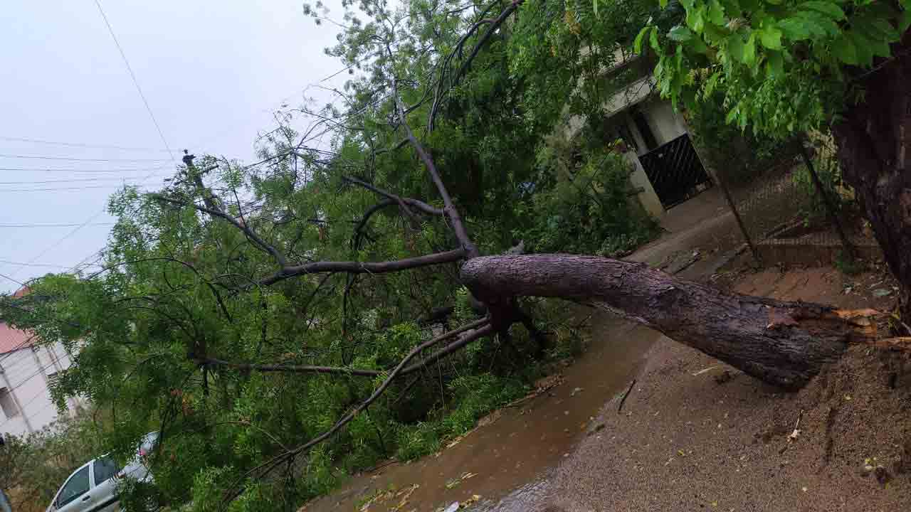 గోల్నాకలో ఈదురుగాలి బీభత్సం.. ఎగిరిపోయిన ఇంటిపై రేకులు