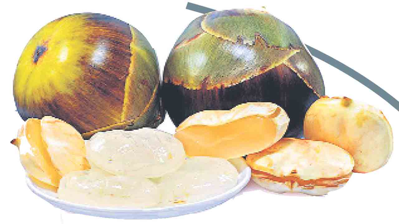 హాట్‌ సమ్మర్‌లో ఐస్‌ యాపిల్స్‌