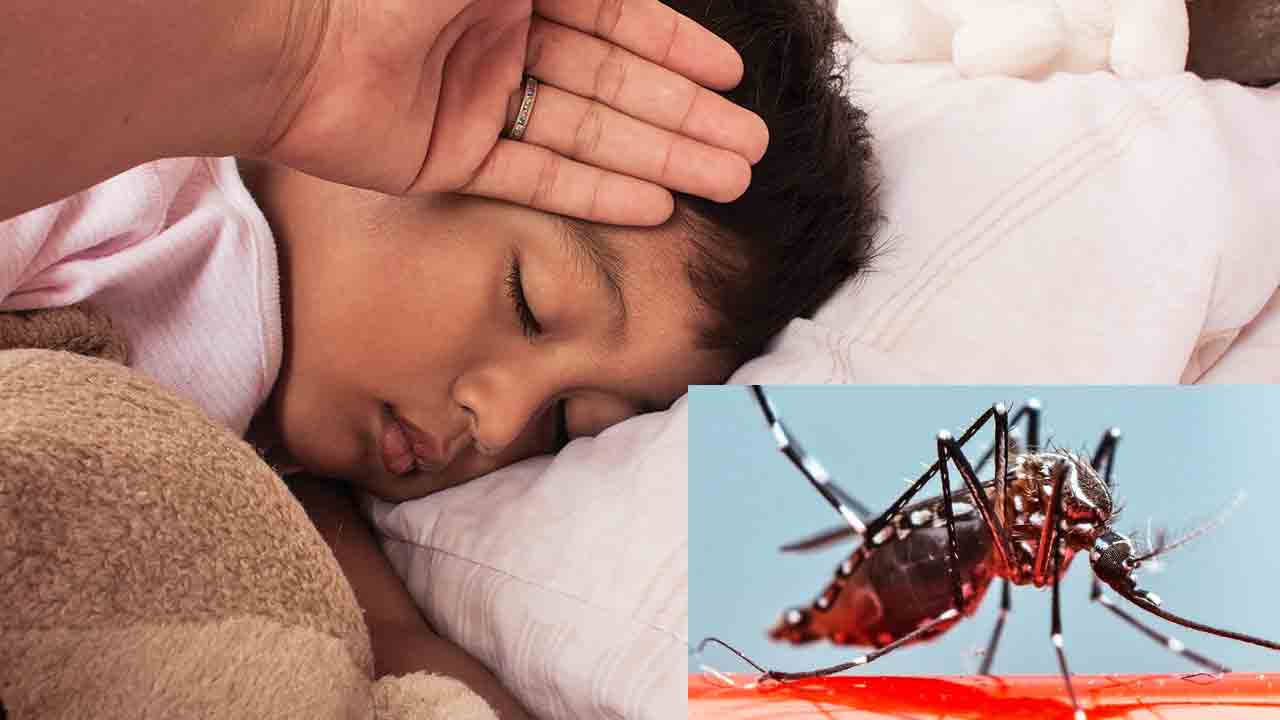 సీజనల్‌ వ్యాధులకు చెక్ పెడదాం