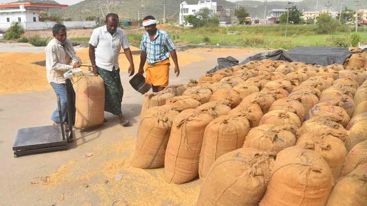 రికార్డుస్థాయిలో వడ్ల కొనుగోలు