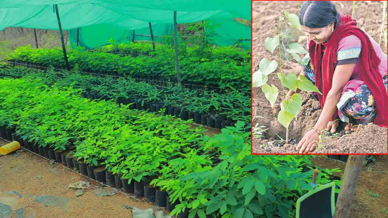 ఎనిమిదో విడుతకు రెడీ