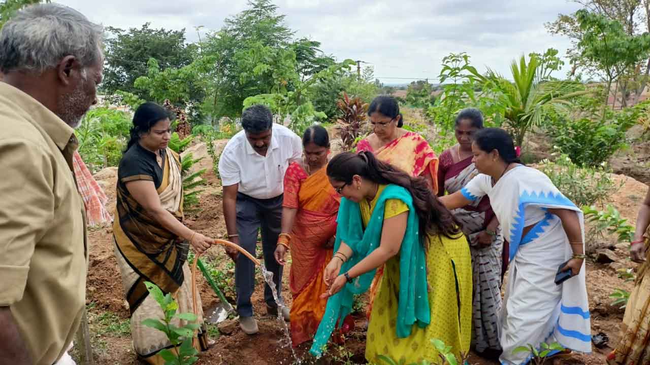 సత్వరమే సమస్యలు పరిష్కారం