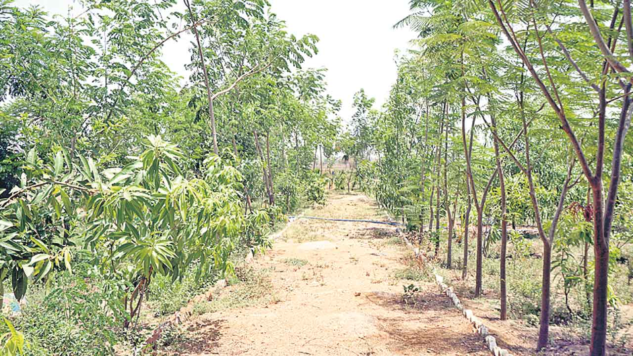 ‘ప్రగతి’కి వేళాయె..