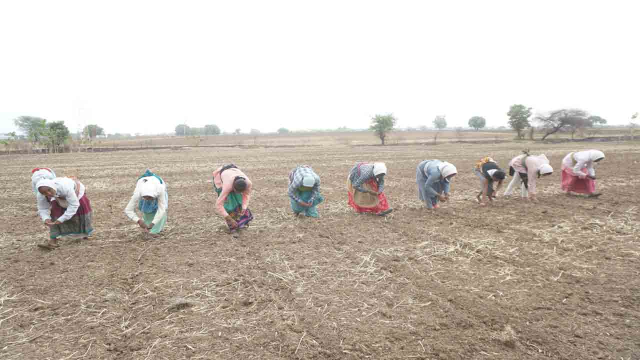 తొలకరికి ముందే..