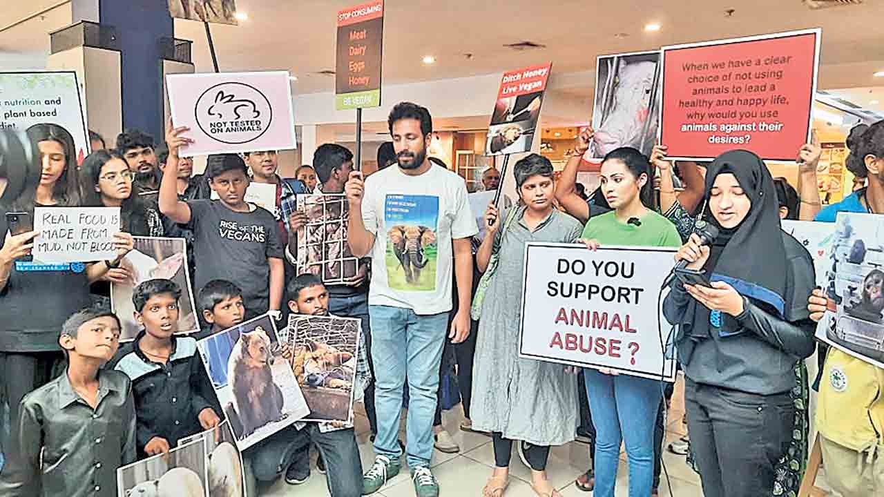 జంతువులకూ జీవించే హక్కుంది