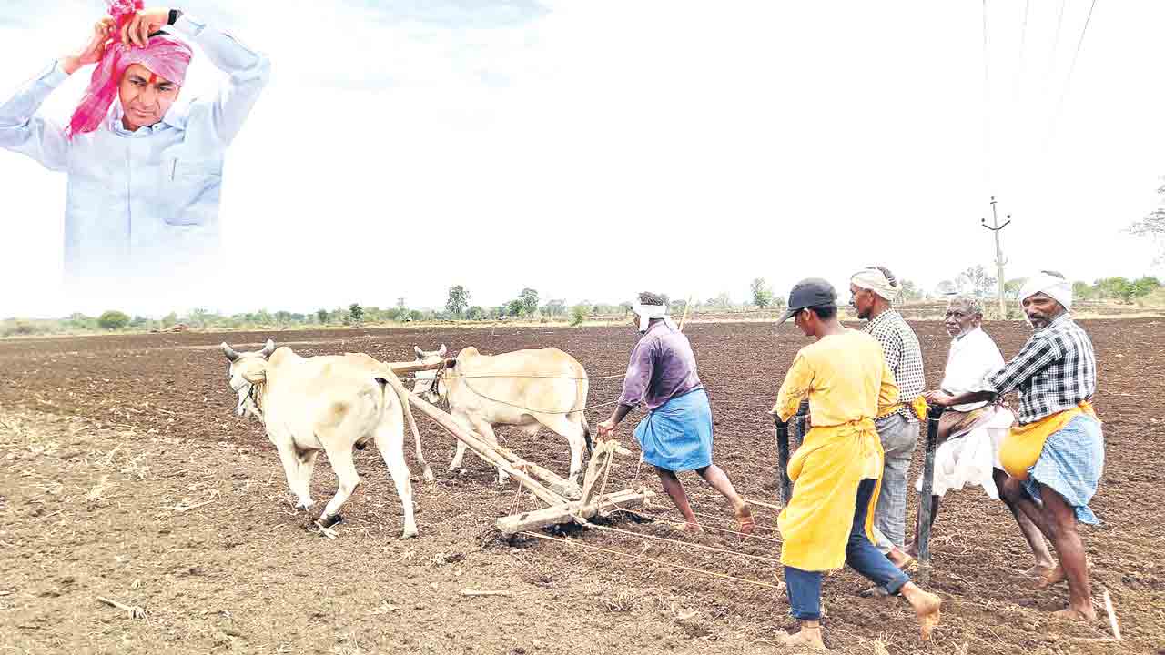 బంధువొచ్చే వేళ..