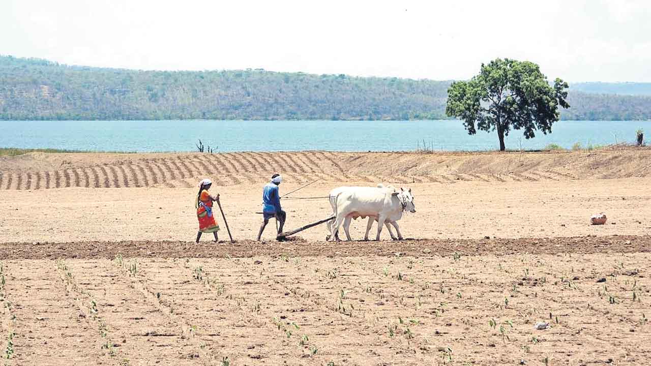 వర్షం కురిసే.. రైతన్న మురిసే..