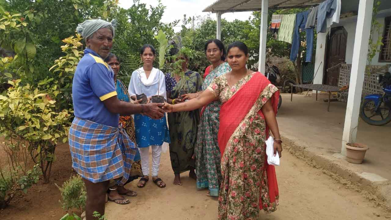 నేలమ్మ ఒడిలో నాటుకున్న మొక్కలు