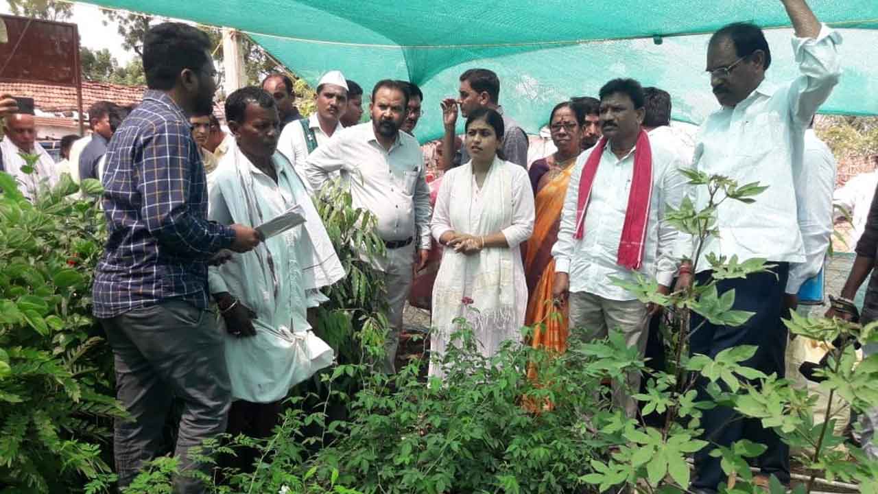 సంక్షేమంలో మాకెవరూ సాటి రారు